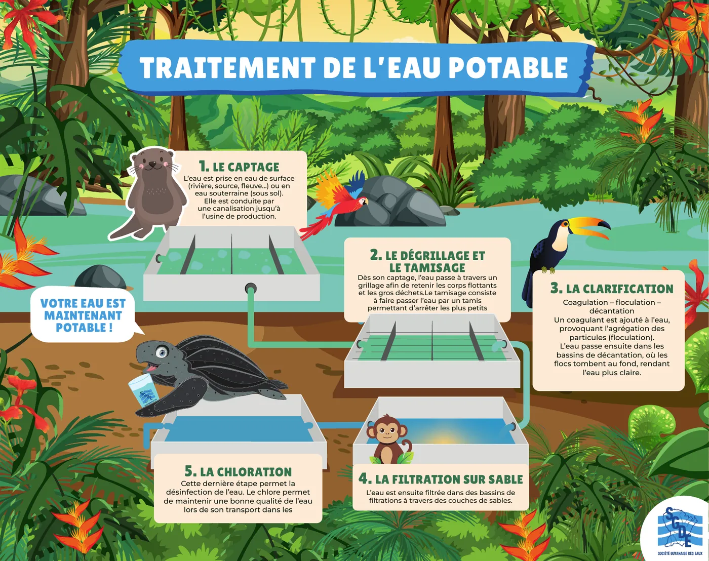 Illustration du traitement de l’eau potable en forêt guyanaise, grand format